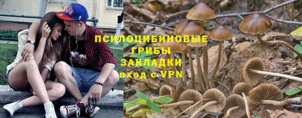 дживик Кинешма