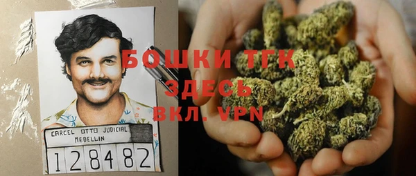 дживик Кинешма