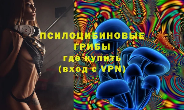 дживик Кинешма